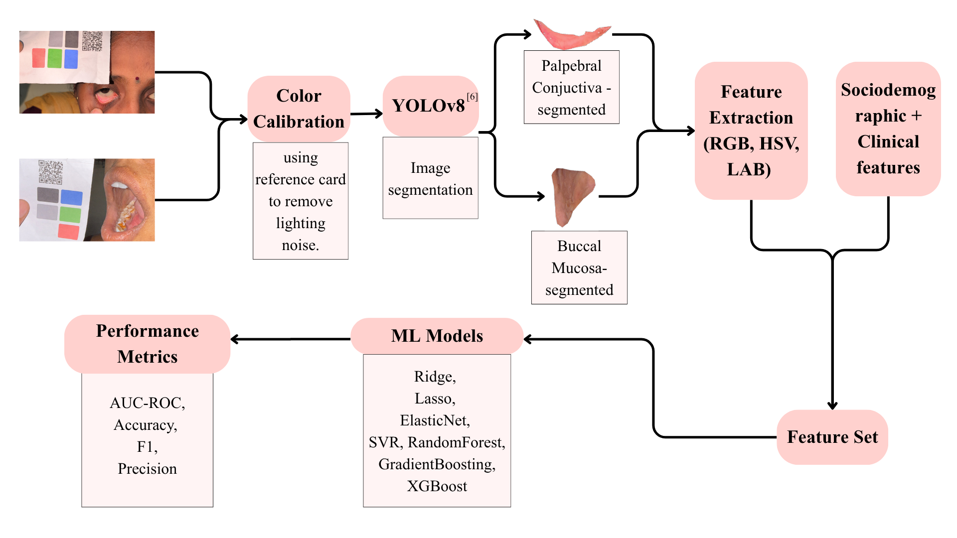 End-to-end ML pipeline: smartphone image capture with colour calibration card → YOLOv8 segmentation → feature extraction (RGB, HSV, LAB + sociodemographic) → ML model ensemble → performance metrics